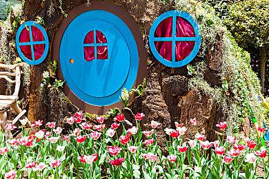 《艾尔登法环》M站均分98 IGN满分